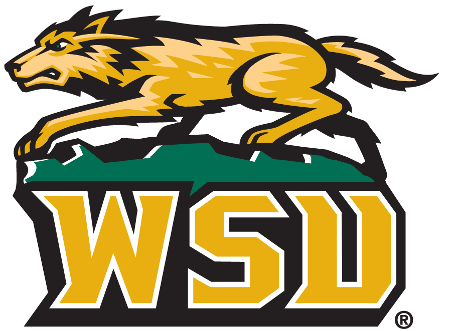 Wright State Raiders 1997-2013 Secondary Logo DIY iron on transfer (heat transfer)